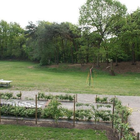Vakantieboerderij 'T Zand - Appartement Heeswijk-Dinther Екстериор снимка